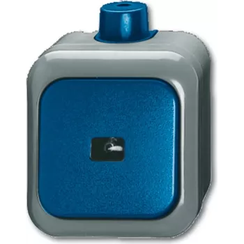 BUSCH JAEGER 2621 WDI - 1P - Žalia - Pilka - 250 V - 74 mm - 54 mm - 80 mm