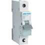 Automatinis jungiklis Hager MCS125, 25 A, C charakteristika, 1 modulis