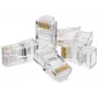 Alantec WT106 RJ45 laidų jungtis, skaidri (WT106)
