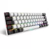 Sharkoon SGK50 S4 klaviatūra USB QWERTZ vokiška balta RGB LED 60%