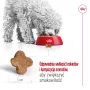 Sausas šunų ėdalas Royal Canin Mini Adult 8+ 2 kg – mažoms veislėms 5–10 kg, paukštiena, svorio kontrolės formulė