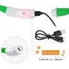 LED antkaklis Anicoll Green šunims ir katėms modelis įkraunamas apšvietimas