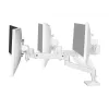 Monitorinis laikiklis Ergotron LX Series 45-684-290 Gnybtinis 27 colių Baltas
