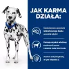 HILL'S Prescription Diet Urinary Care Original šlapias šunų maistas 370 g
