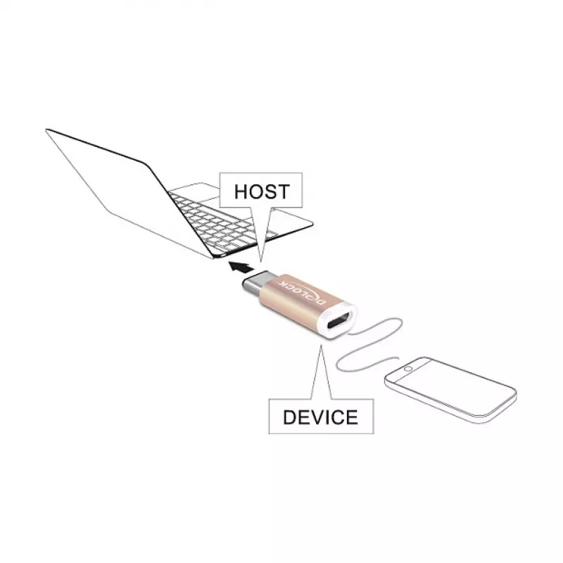 USB lyties keitiklis DeLOCK 65677 USB 2.0-C į Micro-B