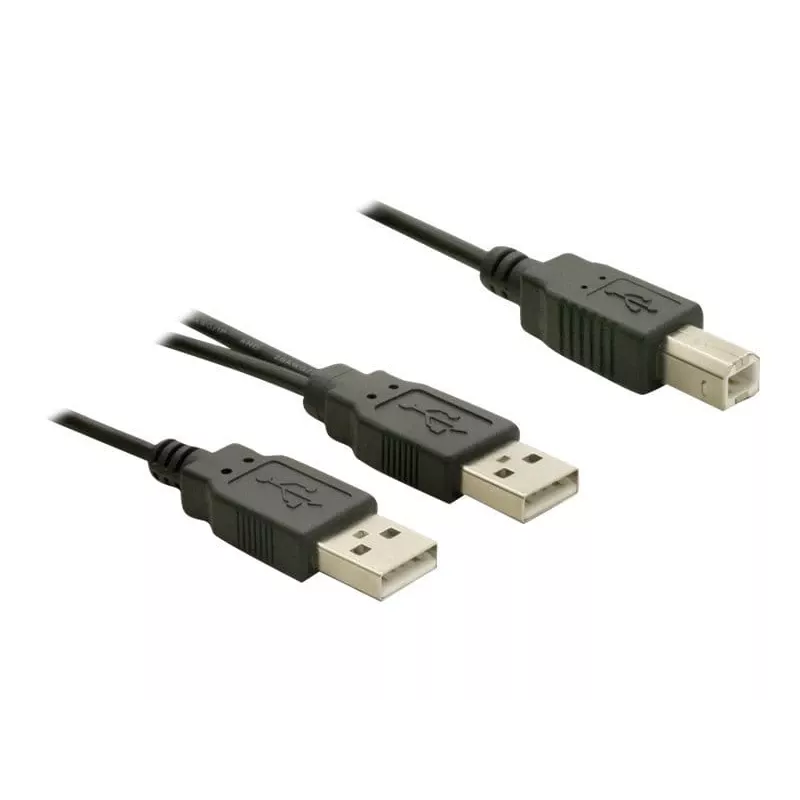USB laidas DeLOCK USB-B / USB-A 1 m juodas