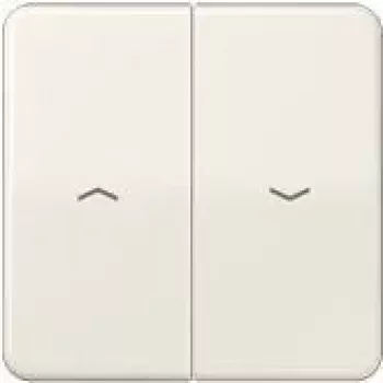 Jung CD595PPT
