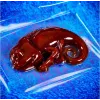 Liscianigiochi mokslo rinkinys Crazy Science Slime Chameleon 304-PL89246 – edukacinis gleivių eksperimentų rinkinys