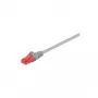 Wentronic Goobay CAT 6 jungiamasis laidas, U/UTP, pilkas, 3 m - LSZH halogeninis, varinis (93672)
