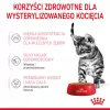 Šlapias kačių ėdalas Royal Canin Sterilised Gravy, 12 x 85 g pakeliai – vištiena, sterilizuotiems kačiukams, 11% baltymų, 80,5% drėgmės