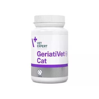 Maisto papildas VETEXPERT GeriatiVet Cat kapsulės 60 vnt. – pagalba vyresnio amžiaus katėms, smegenų funkcijos palaikymui, be glitimo ir sojos
