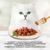 Purina šlapias ėdalas katėms 85 g