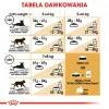 Royal Canin Bengal Adult sausas kačių maistas, 2 kg, paukštiena ir daržovės