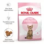 Sausas ėdalas kačiukams Royal Canin Kitten Sterilised 3,5 kg — paukštiena, 34% baltymų, 12% riebalų
