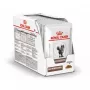Šlapias kačių ėdalas Royal Canin Gastrointestinal 85 g paketėlis — mėsa, 12 x 85 g, suaugusioms katėms, virškinimo problemoms