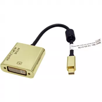 Vaizdo kabelio adapteris ROLINE 12.03.3176 Mini DisplayPort į DVI-D 0,1 m