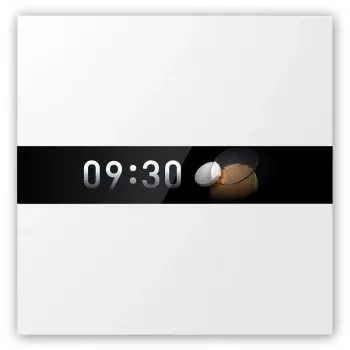 AQARA Display Switch V1 (WS-K02D) – Zigbee jungiklis su ekranu