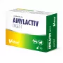 VETFOOD Amylactiv digest šunims ir katėms 30 kapsulių