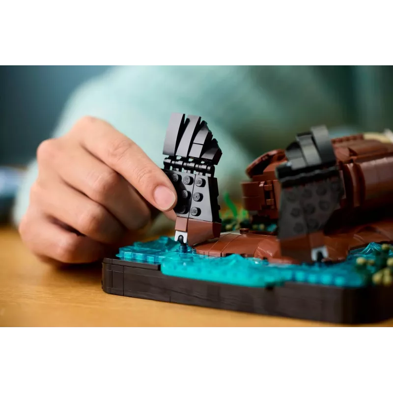 LEGO IDEAS 21366 Plūduriuojantys jūriniai ūdros