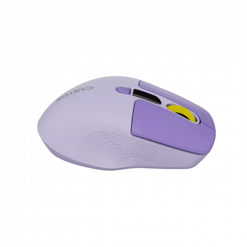 Belaidė pelė CANYON MW-26 LCD Silent Dual Mode Wireless