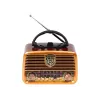 Analoginis radijo imtuvas BLOW RA10 AM/FM saulės energija 77-540