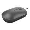 Lenovo 540 pelė Office Ambidextrous USB Type-C optinė