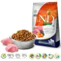 FARMINA N&D Pumpkin Lamb&Blueberry Adult Medium & Maxi - sausas šunų ėdalas - 12kg