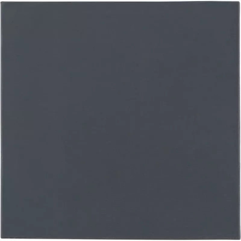 Thermal Grizzly Minus Pad Pro - 100 x 100 x 1,0 mm šiluminė tarpinė