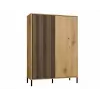 KAMARO 2DD plonas/GŁ ąžuolas ARTISAN DISPLAY CABINET