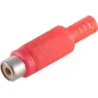 RCA jungtis moteriška raudona ShiverPeaks BS51500-R