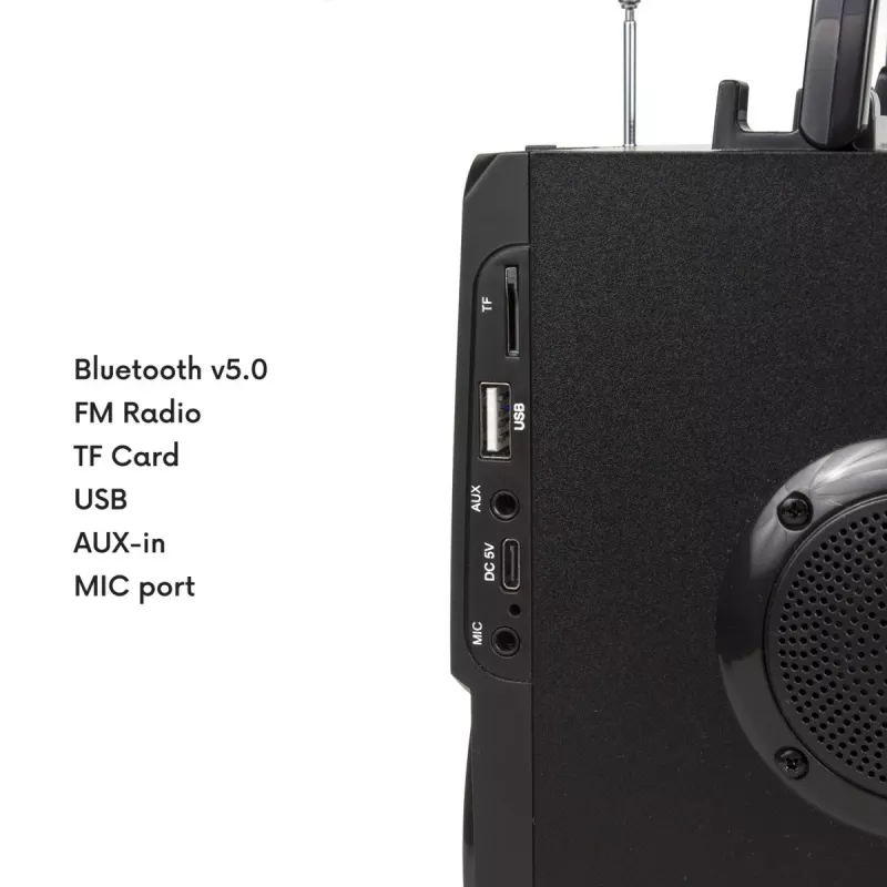 Belaidis garsiakalbis Bluetooth Audiocore AC730, juodas