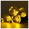 RealPower 463627 LED girlianda 10 m, 24 lempos, šiltai balta šviesa, IP44, juoda