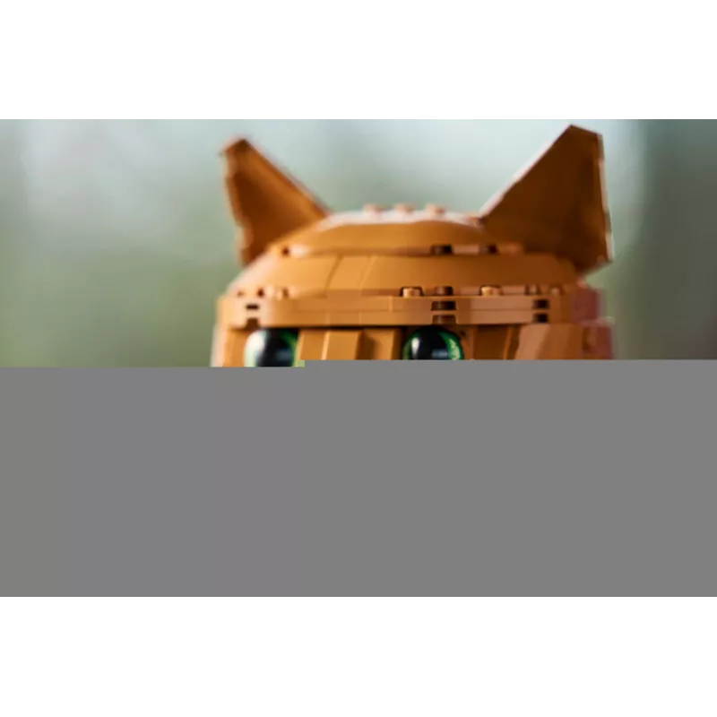 LEGO IDEAS 21376 Oranžinė katė