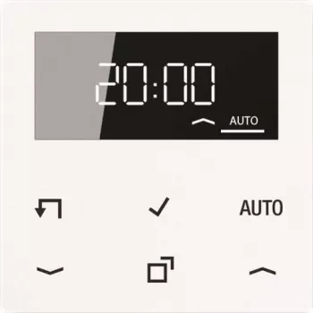 JUNG A 1750 D WW Laikmatis Standartinis Ekranas Echtglasfront