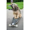 Longboard Muuwmi Lights GLOW ABEC 7 su šviečiančiais ratais, juodas/žalias