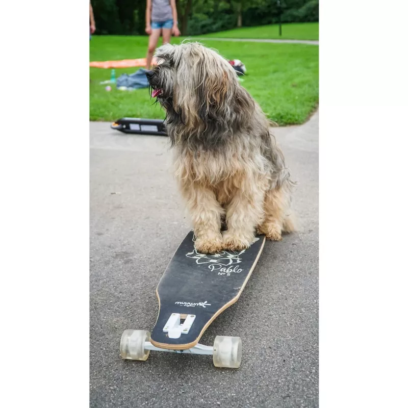 Longboard Muuwmi Lights GLOW ABEC 7 su šviečiančiais ratais, juodas/žalias