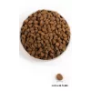 ORIJEN Regional Red sausas šunų maistas - 11,4 kg