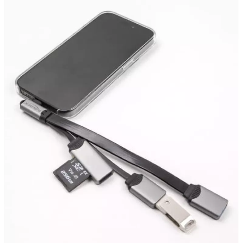 DeLOCK 64303 USB 3.2 Gen 1 Type-C USB centras 5000 Mbit/s pilkas