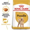 Royal Canin Poodle Adult šunų maistas, 1,5 kg
