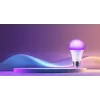 Xiaomi Smart LED Bulb White and Colour – išmanioji lemputė