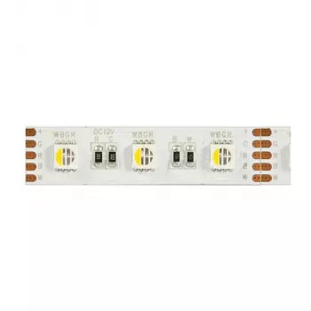 Synergy 21 LED Flex Strip 5050 - 60 RGB DC24V + RGB-W vieno lusto šilta balta IP68