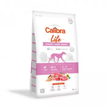 Sausas šunų ėdalas Calibra Life Junior Large Breed Ėriena 12 kg — pilnavertis sausas ėdalas didelių veislių šuniukams, 28% baltymų, 15% riebalų