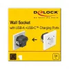 DeLOCK 11489 Kištukinis lizdas CEE 7/3 + USB balta 250V 16A