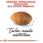 Royal Canin Persian Adult sausas ėdesys katėms, 4 kg, kukurūzai, paukštiena