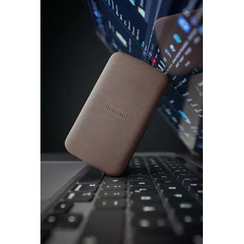 Išorinis SSD diskas Intenso TX500 1TB USB Type-C 3.2 Gen 2 Ruda