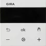Gira 539327 Ekranas