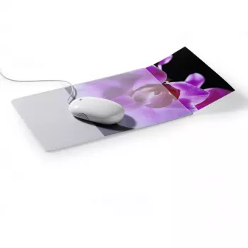 Pelės kilimėlis Durable Mouse Pad Plus 5747-19 su nuotraukos įdėklu, itin plonas, permatomas