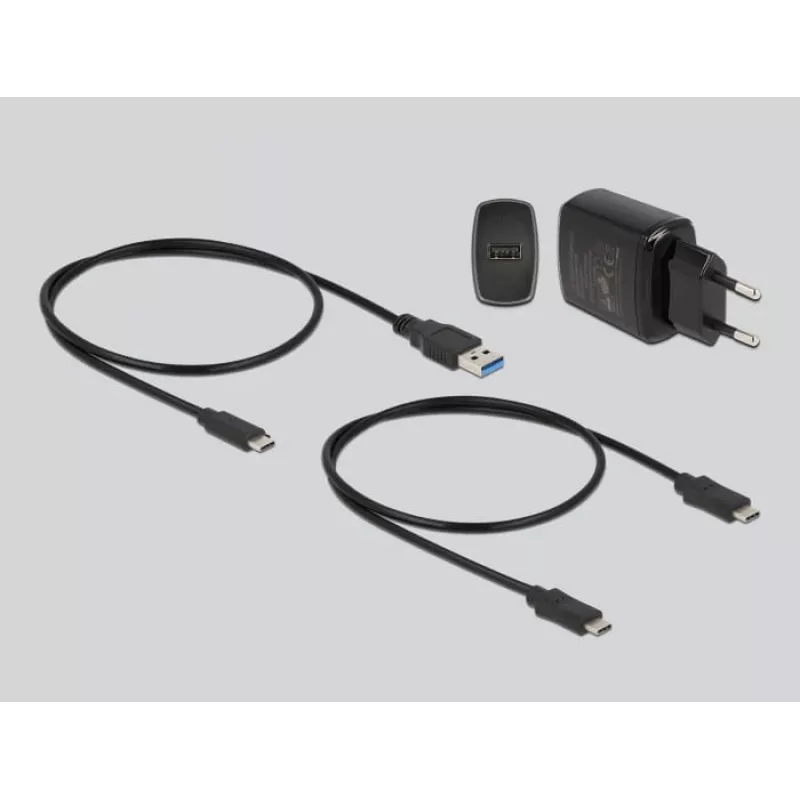 DeLOCK M.2 Docking Station 2 x M.2 NVMe PCIe SSD su klonavimo funkcija