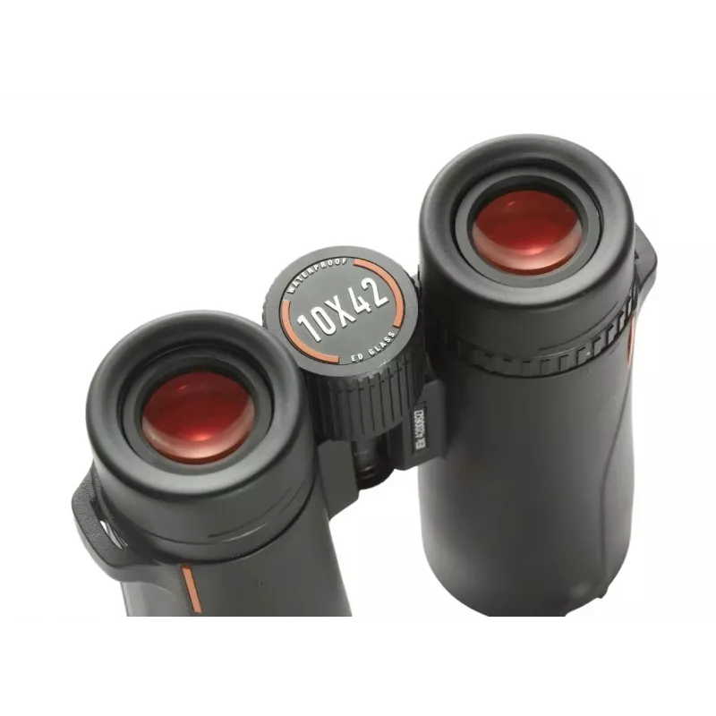 Žiūronai EYESKEY Wave 10x42 – 10× didinimas, 42 mm objektyvas, BaK-4 prizmė, 106 m/1000 m matymo laukas