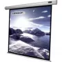 Celexon Rollo Economy Screen Format 1:1, 200 x 200 cm